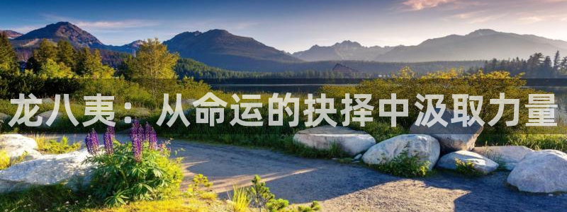 伟德国际1946体育2：龙八夷：从命运的抉择中汲取力量