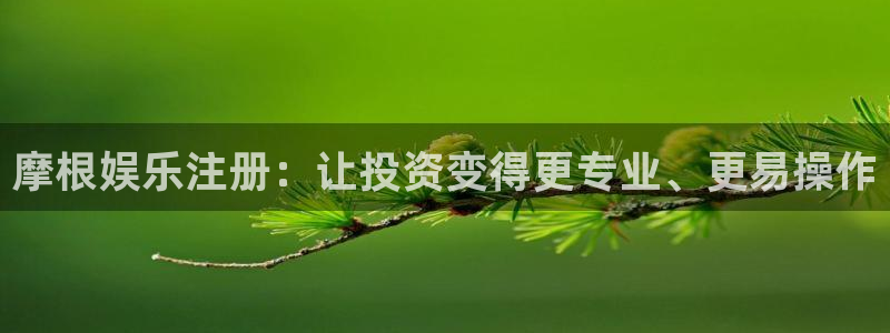 伟德国际1946主管：摩根娱乐注册：让投资变得更专业、更易操作