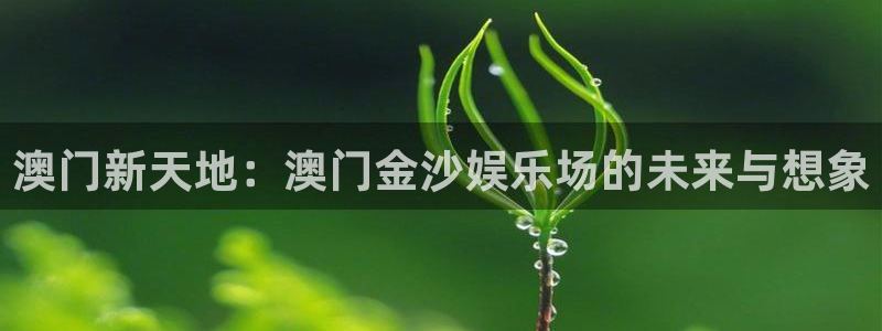 东莞市伟德国际1946电子科技有限公司：澳门新天地：澳门金沙娱乐场的未来与想象