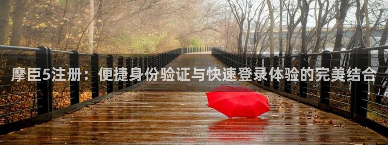 伟德国际1946平台在线注册：摩臣5注册：便捷身份验证与快速登录体验的完美结合