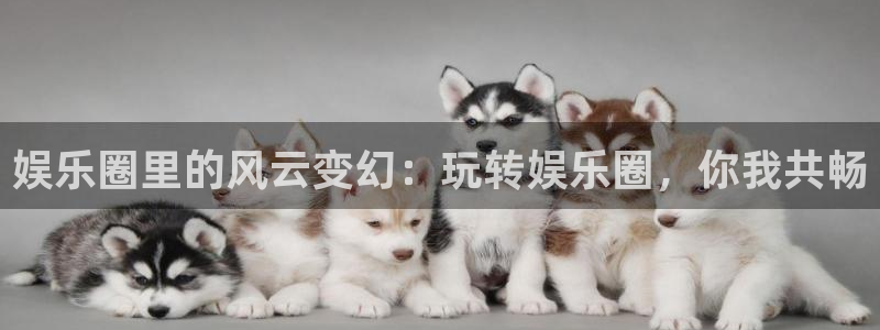 伟德国际1946登陆：娱乐圈里的风云变幻：玩转娱乐圈，你我共畅