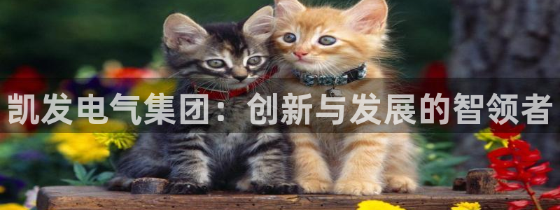 伟德国际1946体育官网入口登录：凯发电气集团：创新与发展的智领者