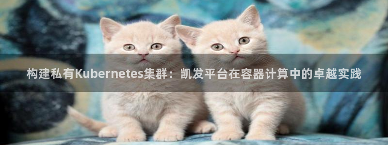 伟德国际1946凯捷开号链接：构建私有Kubernetes集群：凯发平台在容器计算中的卓越实践
