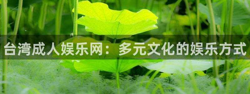 伟德国际1946平台注册：台湾成人娱乐网：多元文化的娱乐方式