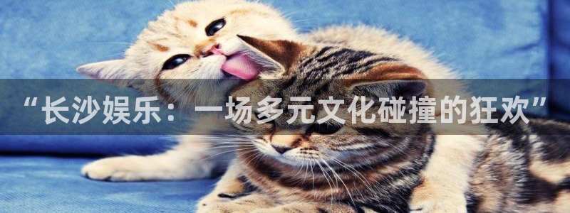 伟德国际1946体育免费注册入口：“长沙娱乐：一场多元文化碰撞的狂欢”