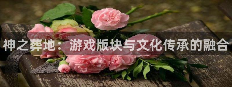 伟德国际1946体育凯捷平台代理：神之葬地：游戏版块与文化传承的融合