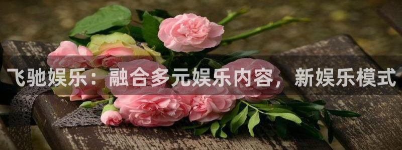 伟德国际1946体育平台注册：飞驰娱乐：融合多元娱乐内容，新娱乐模式