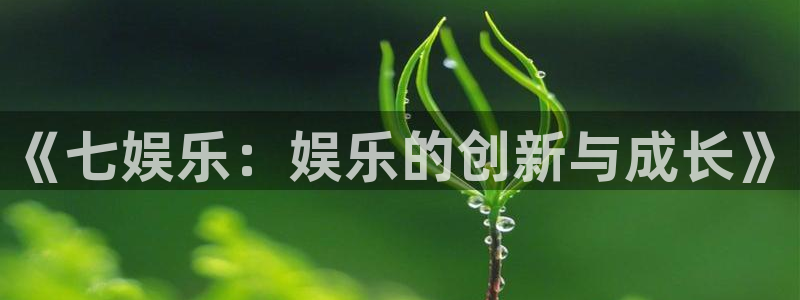 伟德国际1946体育：《七娱乐：娱乐的创新与成长》