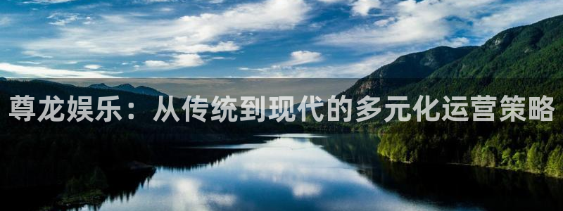 伟德国际1946登录：尊龙娱乐：从传统到现代的多元化运营策略