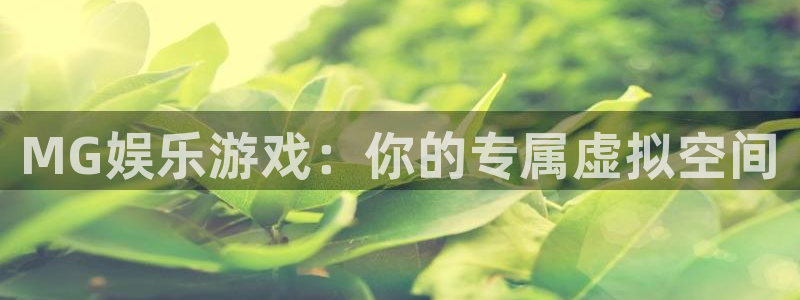 伟德国际19464注册：MG娱乐游戏：你的专属虚拟空间