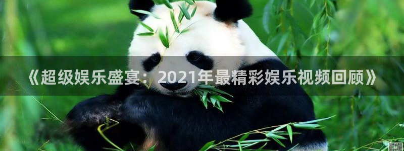伟德国际1946凯捷平台注册链接：《超级娱乐盛宴：2021年最精彩娱乐视频回顾》
