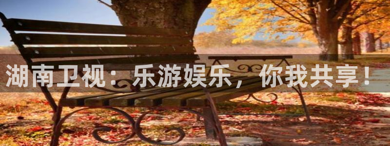 伟德国际19463：湖南卫视：乐游娱乐，你我共享！