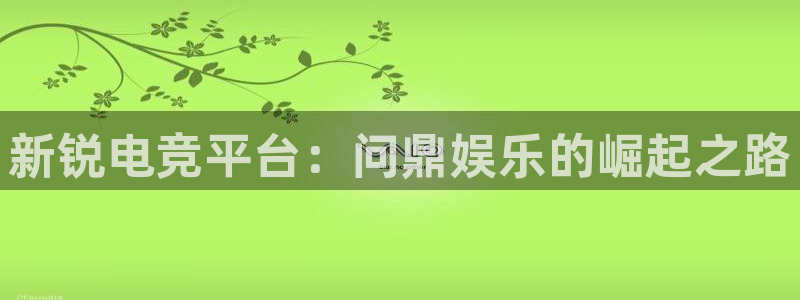 伟德国际1946体育平台登录入口：新锐电竞平台：问鼎娱乐的崛起之路