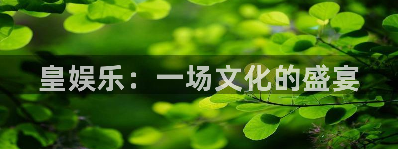 伟德国际1946股份：皇娱乐：一场文化的盛宴