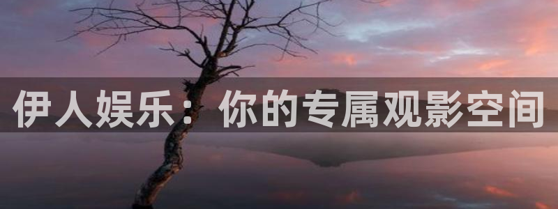 伟德国际1946平台招商：伊人娱乐：你的专属观影空间