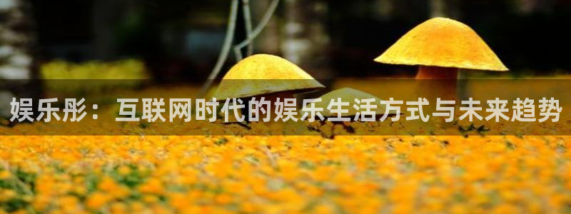 伟德国际1946体育和杏耀是哪个公司的：娱乐彤：互联网时代的娱乐生活方式与未来趋势