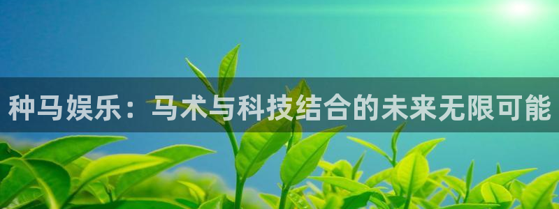 伟德国际19464平台注册：种马娱乐：马术与科技结合的未来无限可能